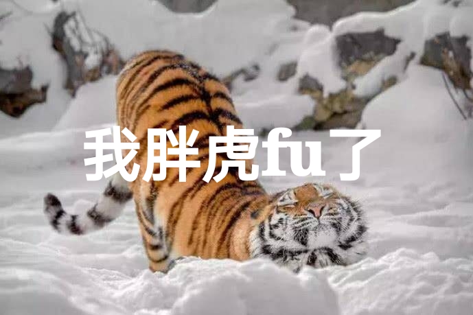 “我服了”表情包上新！动物版“FU”梗太有意思了