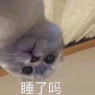 这套猫咪表情包太上头！爱吸猫的快存