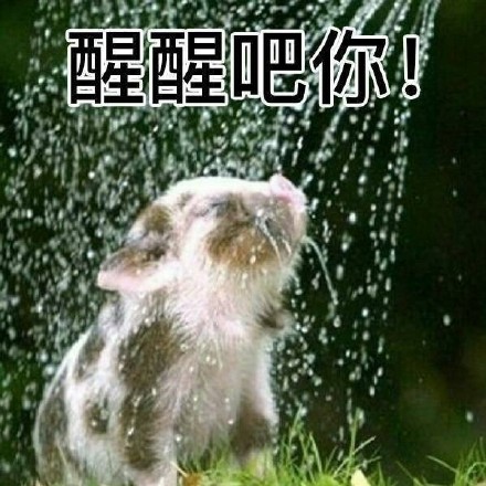 聊天斗图找不到合适的？这份表情包合集直接救场