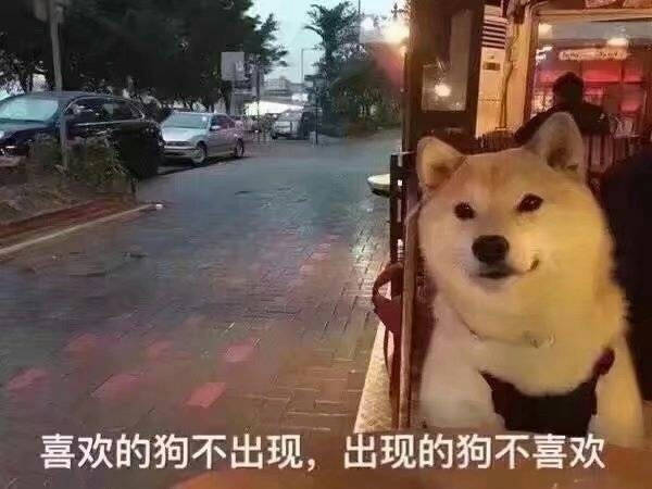 七夕单身狗专属表情包，戳中你的心巴