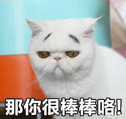 “我没有不开心”的喵咪丧气表情包来啦
