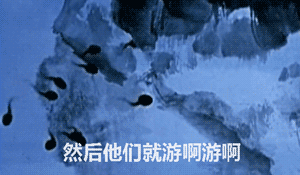 小蝌蚪找妈妈居然是个扎心小故事？这套恶搞表情包太会整活了