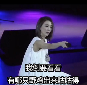 戴佩妮歌迷唱《怎样》翻车名场面表情包合集