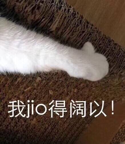 12月7日热门无水印表情包合集来啦