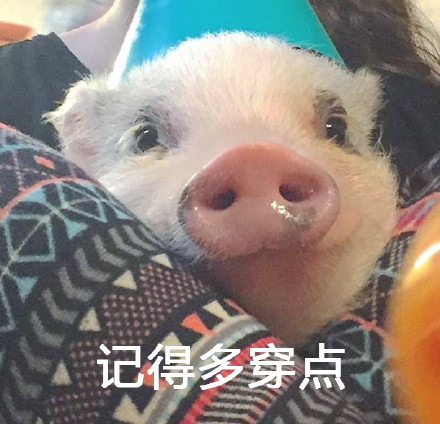 这套警告表情包火了！带降温提醒还自带反差萌