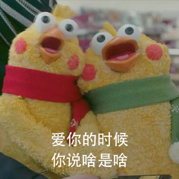 去你妈的爱情！鹦鹉兄弟怼爱情表情包来了