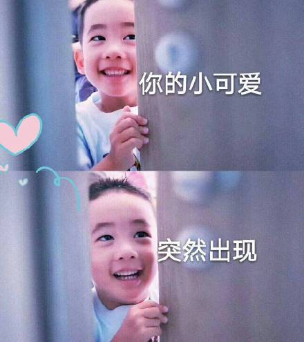 Jasper小小春表情包来啦！软萌模样直接戳中人心