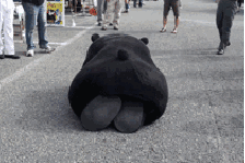 整活必备！熊本熊搞怪动图合集