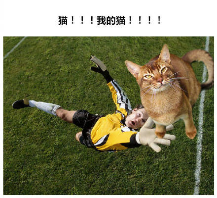 把世界杯换成吸猫现场！这套表情包让斗图秒变撸猫现场