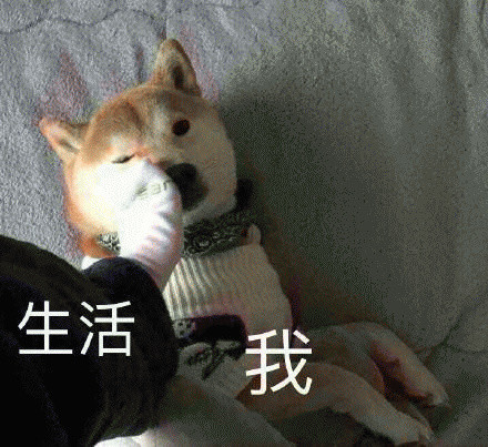打工人看完直接破防！这套“这就是生活与我”表情包太真实了