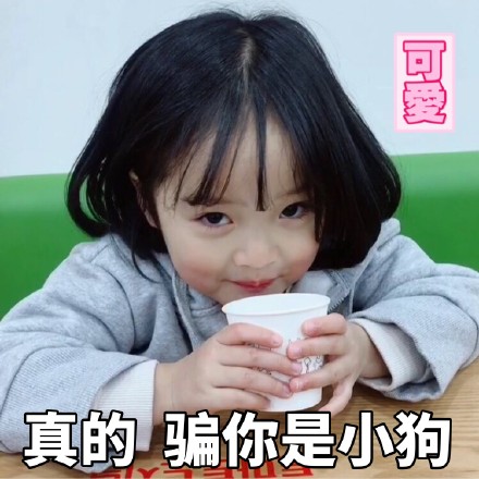 快收好权律二女鹅专属表情包