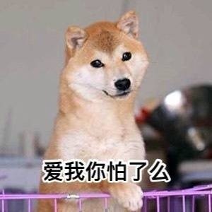 超实用柴犬Doge微信表情包合集