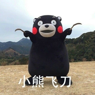 这套功夫表情包太绝了！熊本熊整活整到飞起