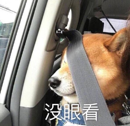 最近超火的无水印萌宠表情包合集