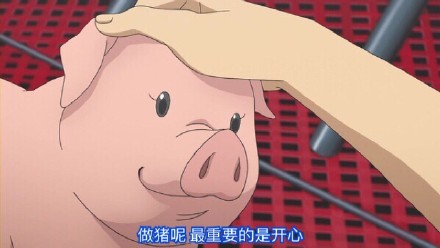 3月4日斗图必备表情包原图合集