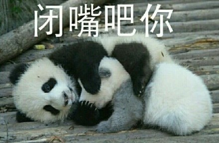 软萌熊猫滚滚表情包上新啦