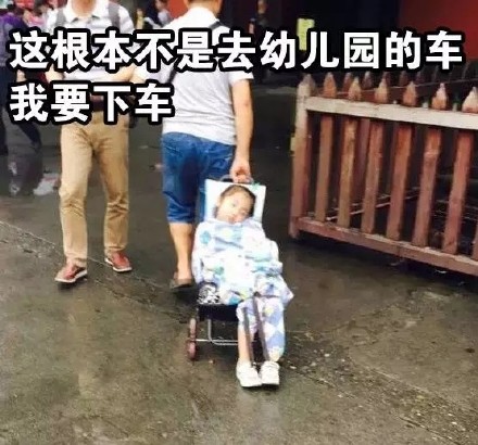 “我要下车！这不是去幼儿园的车”表情包合集来啦