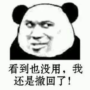 专为爱撤回消息的你准备的表情包合集