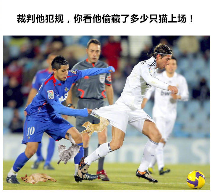 把世界杯换成吸猫现场！这套表情包让斗图秒变撸猫现场