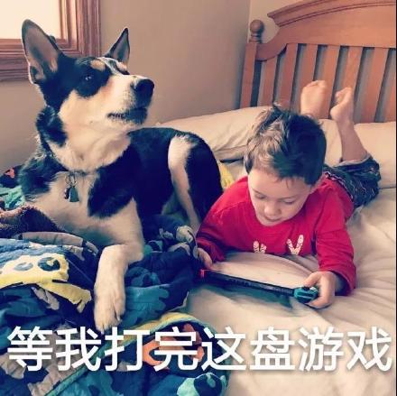 假笑男孩Gavin专属表情包合集