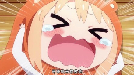 干物妹小埋专属表情包合集来了