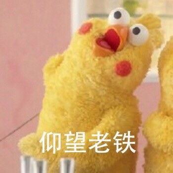 鹦鹉兄弟仰望系列表情包来啦