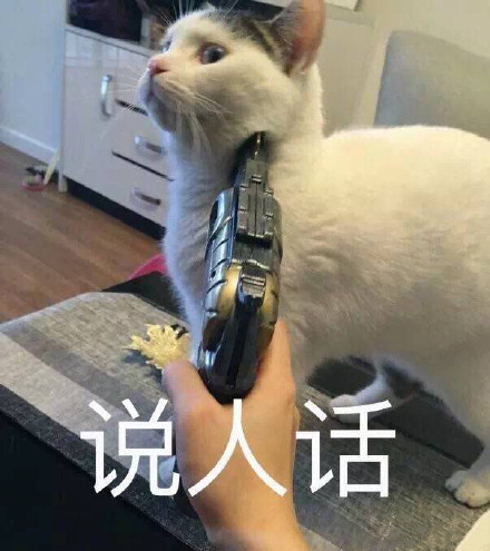 今天的斗图表情包原图来啦！