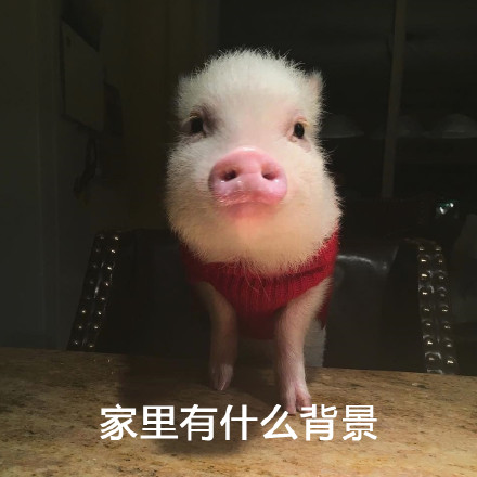 这套警告表情包火了！带降温提醒还自带反差萌