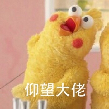 鹦鹉兄弟仰望系列表情包来啦