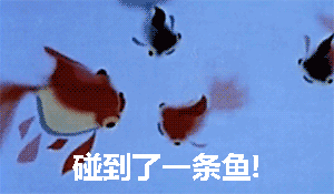 小蝌蚪找妈妈居然是个扎心小故事？这套恶搞表情包太会整活了