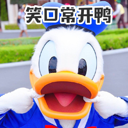 快码住！这套唐老鸭鸭风表情包帮你天天笑口常开