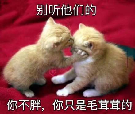 当下超火的表情包都在这！近期热门合集整理好了