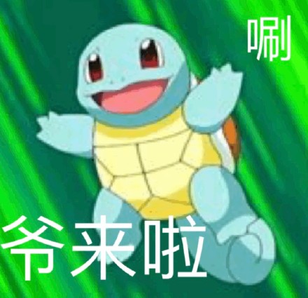 聊天斗图必备！杰尼龟专属表情包合集来了