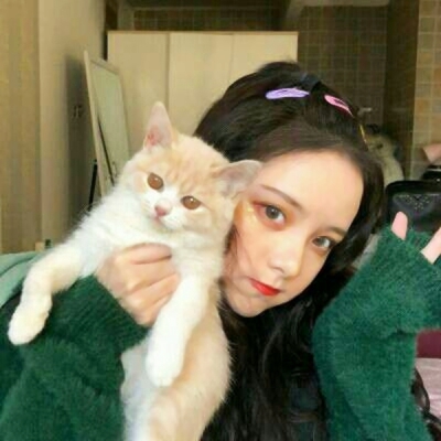 女生抱猫咪QQ头像合集！10张高清好看的真人头像图