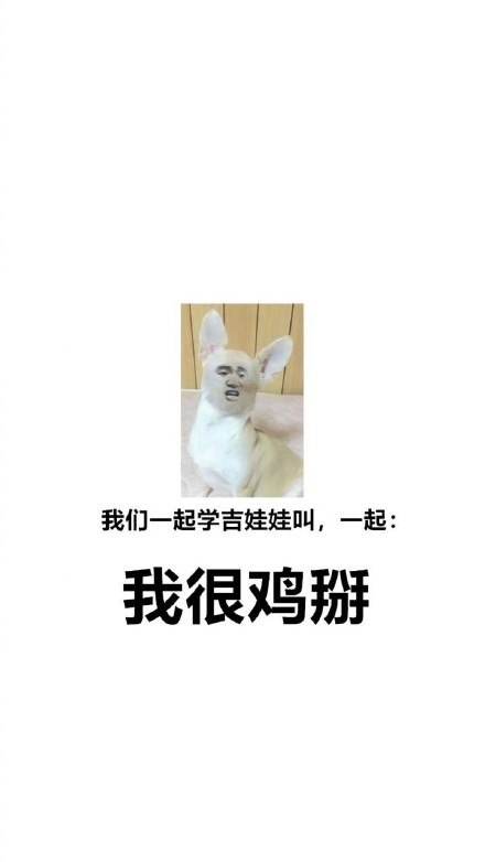汪星人整活合集：跟着主人学叫的沙雕表情包来啦