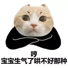 救命！这套猫咪头表情包也太萌了吧