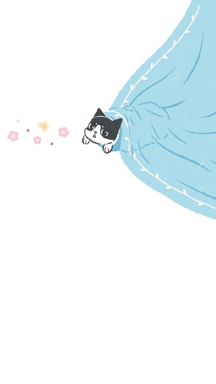 猫咪手机壁纸合集来啦