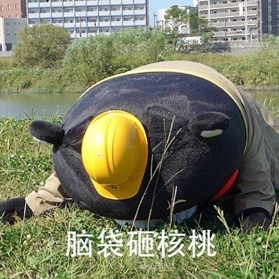 这套功夫表情包太绝了！熊本熊整活整到飞起