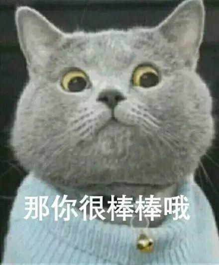 聊天斗图必备！这套网红猫咪表情包火出圈了