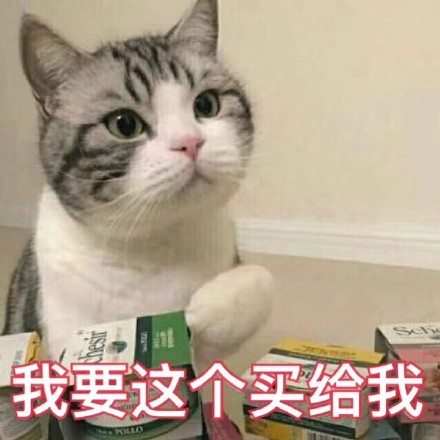 铲屎官集合！软萌猫咪表情包来啦，快一起吸猫