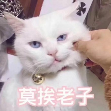 2月26日的表情包原图合集来啦