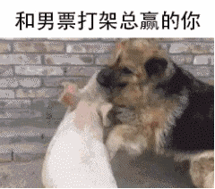 这篇内容是表情包分享网站的页面，并非传统新闻稿，我将按照要求重写呈现：