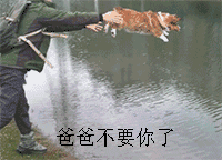 这款扔狗表情包火了！配文“爸爸不要你了”“幸好我会游泳”太有意思