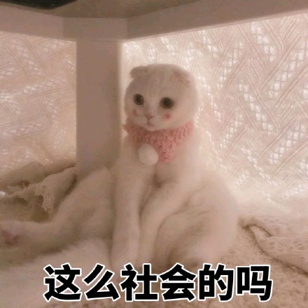 整理好的斗图表情包合集，直接拿去就能开怼