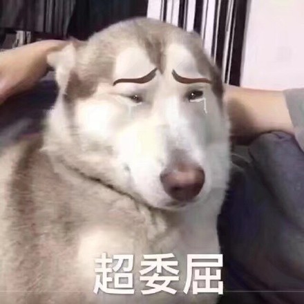 4月25日斗图表情包合集来了