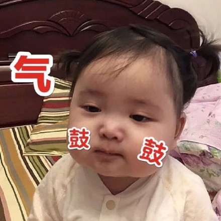 超萌小刚几表情包合集 斗图必备