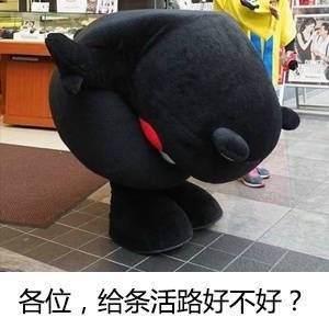 七夕有人跟你告白？这套熊本熊表情包帮你接招