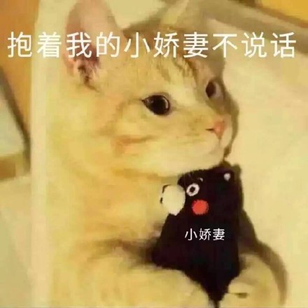 吸猫爱好者集合！这套喵星人表情包太上头了