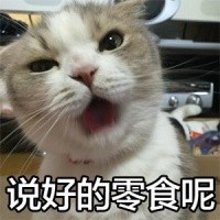 铲屎官快集合！这套吸猫表情包快收好