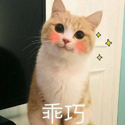 吸猫爱好者集合！这套喵星人表情包太上头了